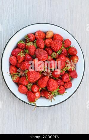 De délicieuses fraises mûres fraîches dans un bol en métal blanc sur une table blanche. Banque D'Images