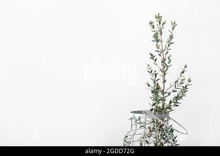 Vase avec branches d'eucalyptus sur fond blanc Banque D'Images