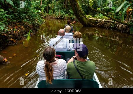 Transport en canoë excursion touristique le long des rivières du bassin de la forêt amazonienne, parc national Yasuni, Équateur. Banque D'Images