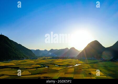 Riz paddy de riz de Nice Bac son province de Lang son nord du Vietnam Banque D'Images