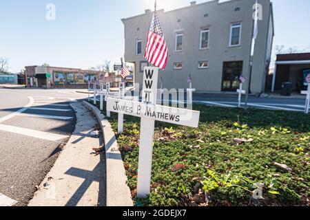 Greenville, Géorgie, États-Unis-nov 14, 2020 : exposition de croix en hommage aux anciens combattants militaires locaux le long de la place du tribunal pour la Journée des anciens combattants à Greenville, GA. Banque D'Images