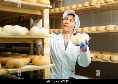 Femme cheesmaaker vérifiant le processus de vieillissement du fromage dans la chambre de maturation Banque D'Images