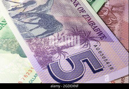 Près de dix dollars de la République du Zimbabwe. Billets en papier du pays africain. Capture détaillée du design avant. Argent détaillé Banque D'Images