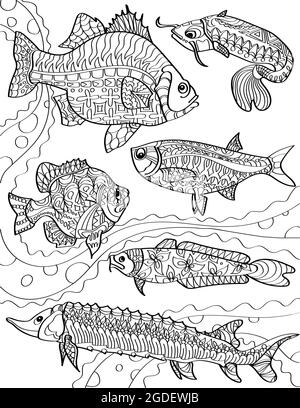 Différentes imperfections de l'océan natation contre les courants lignes incolores dessin. La communauté de poissons nage au-dessous du niveau de la mer page de livre de coloriage. Illustration de Vecteur