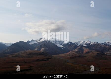 Landschaft des Denali Nationalpark, vormals Mount Mc Kinley Nationalpark, Denali National Park and Preserve, Alaska, États-Unis. Banque D'Images