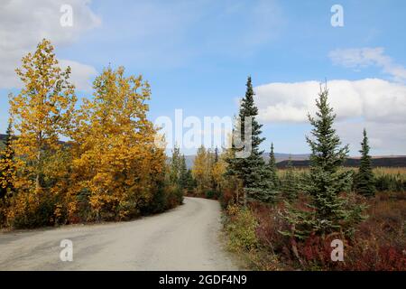 Landschaft des Denali Nationalpark, vormals Mount Mc Kinley Nationalpark, Denali National Park and Preserve, Alaska, États-Unis. Banque D'Images