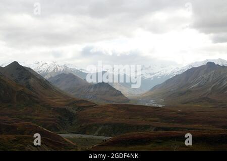 Landschaft des Denali Nationalpark, vormals Mount Mc Kinley Nationalpark, Denali National Park and Preserve, Alaska, États-Unis. Banque D'Images