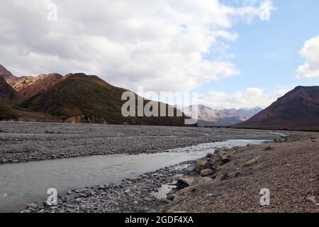 Landschaft des Denali Nationalpark, vormals Mount Mc Kinley Nationalpark, Denali National Park and Preserve, Alaska, États-Unis. Banque D'Images