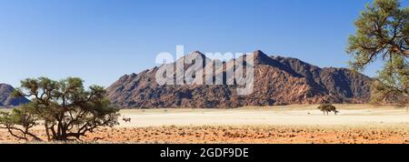 Paysage avec l'antilope d'Oryx dans le désert du Namib, Namibie, Afrique. Banque D'Images