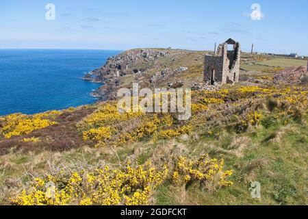 Mines d'étain cornish, maisons en ruines et cheminées, les couronnes, Botallack, Cornouailles, Angleterre, ROYAUME-UNI. Banque D'Images