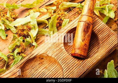 Linden parfumé dans un mortier et un pilon en bois élégants. Plantes de guérison. Plantes médicinales.fleurs et feuilles de linden Banque D'Images