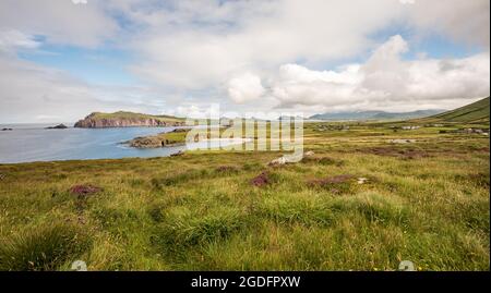 Ballyferrer , sur la péninsule de Dingle et vers les trois Sœurs (Munster, Irlande du Sud-Ouest) Banque D'Images