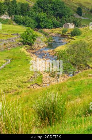 Portrait de la vallée de la rivière traversant Keld dans le Haut-Swaledale au mois d'août, avec une grange de campagne abandonnée et un arbre de Rowan. Verticale. SPAC Banque D'Images