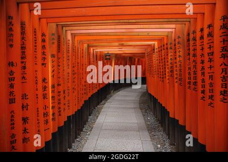 Porte rouge de Tori au sanctuaire de Fushimi Inari à Kyoto, Japon Banque D'Images