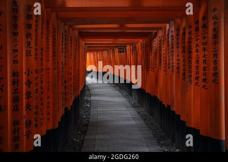 Porte rouge de Tori au sanctuaire de Fushimi Inari à Kyoto, Japon Banque D'Images