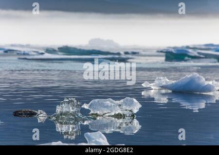 Vue détaillée de minuscules icebergs en fusion dans l'océan Arctique. Banque D'Images