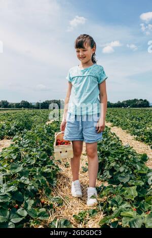 Une petite fille heureuse se tient sur un champ de ferme avec un panier de fraises fraîches dans ses mains. Banque D'Images