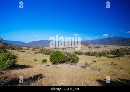 Vues sur les champs de Tom Groggin près de Thredbo lors d'une journée d'automne claire en Nouvelle-Galles du Sud, en Australie Banque D'Images