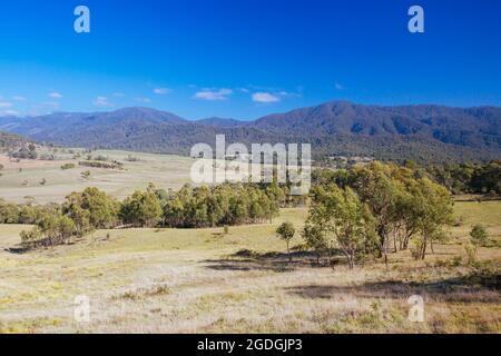 Vues sur les champs de Tom Groggin près de Thredbo lors d'une journée d'automne claire en Nouvelle-Galles du Sud, en Australie Banque D'Images