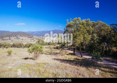 Vues sur les champs de Tom Groggin près de Thredbo lors d'une journée d'automne claire en Nouvelle-Galles du Sud, en Australie Banque D'Images