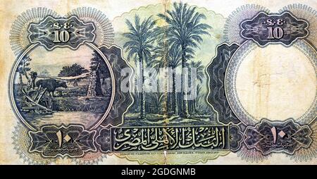 Revers de 10 LE dix livres égyptiens billets de banque série 1937 émis par la banque nationale d'Égypte avec des palmiers et l'agriculture à la campagne Banque D'Images