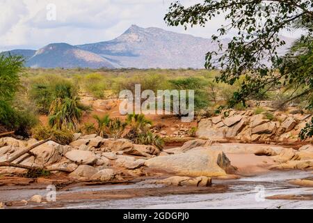 Vue panoramique sur la rivière Ewaso Nyiro dans le parc national de Samburu, Kenya Banque D'Images