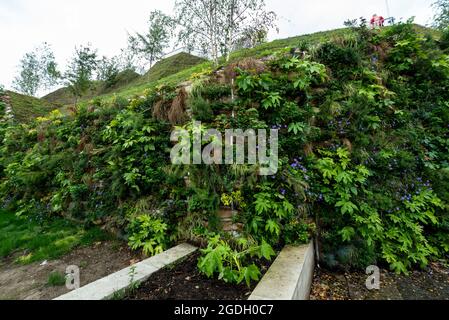 Londres, Royaume-Uni. 13 août 2021. Le mur de plantes à Marble Arch Mound. Melvyn Caplan, le chef adjoint du conseil municipal de Westminster, a démissionné après que le coût initial de 2 millions de livres sterling du monticule est maintenant estimé à 6 millions de livres sterling. Commandé par le conseil et conçu par les architectes du MVRDV, le monticule artificiel de 25 m de haut a été lourdement critiqué comme étant « le pire monument de Londres ». Actuellement libre à visiter en août, la monticule devrait rouvrir complètement en septembre. Crédit : Stephen Chung/Alay Live News Banque D'Images