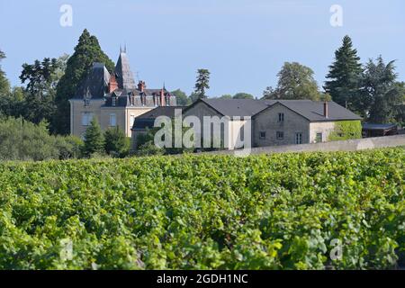 Domaine Albert Morot avec le vignoble du Clos les Teurons de l'Hospice de Beaune, Beaune FR Banque D'Images