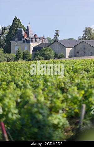 Domaine Albert Morot avec le vignoble du Clos les Teurons de l'Hospice de Beaune, Beaune FR Banque D'Images