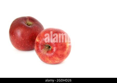 Pommes sur fond blanc Banque D'Images