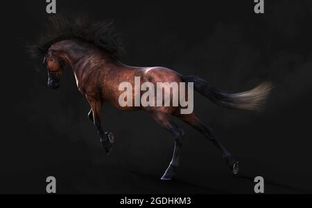 Illustration 3d magnifique posture du cheval brun et longue Mane isoler sur arrière-plan sombre avec masque. Banque D'Images