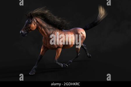 Illustration 3d magnifique posture du cheval brun et longue Mane isoler sur arrière-plan sombre avec masque. Banque D'Images