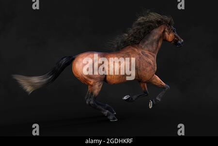 Illustration 3d magnifique posture du cheval brun et longue Mane isoler sur arrière-plan sombre avec masque. Banque D'Images
