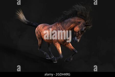 Illustration 3d magnifique posture du cheval brun et longue Mane isoler sur arrière-plan sombre avec masque. Banque D'Images