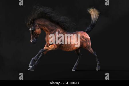 Illustration 3d magnifique posture du cheval brun et longue Mane isoler sur arrière-plan sombre avec masque. Banque D'Images