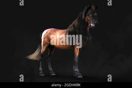 Illustration 3d magnifique posture du cheval brun et longue Mane isoler sur arrière-plan sombre avec masque. Banque D'Images