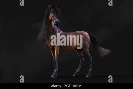 Illustration 3d magnifique posture du cheval brun et longue Mane isoler sur arrière-plan sombre avec masque. Banque D'Images
