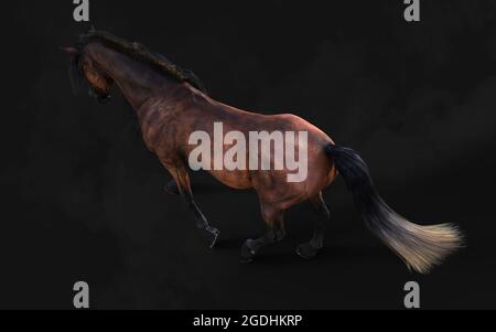 Illustration 3d magnifique posture du cheval brun et longue Mane isoler sur arrière-plan sombre avec masque. Banque D'Images