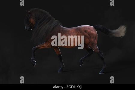 Illustration 3d magnifique posture du cheval brun et longue Mane isoler sur arrière-plan sombre avec masque. Banque D'Images