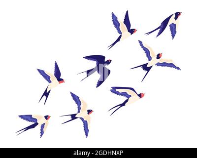 Petit oiseau hirondelle plat floqué voler dans l'air. Groupe de dessins animés de grange permet un vol libre dans le ciel. Illustration de vecteur paisible avec des oiseaux Illustration de Vecteur