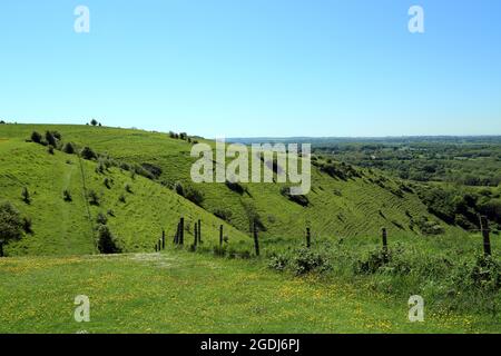 Devils pétrissent le creux sur Broad Downs et la réserve naturelle nationale de Wye au-dessus de Wye, Ashford, Kent, Angleterre, Royaume-Uni Banque D'Images