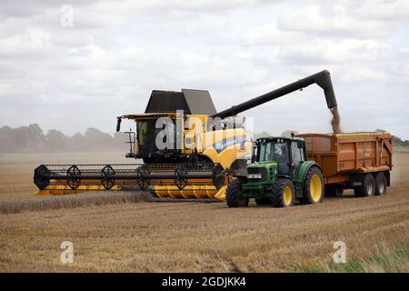 Peterborough, Royaume-Uni. 12 août 2021. Une moissonneuse-batteuse New Holland récolte du blé dans un champ près de Peterborough, Cambs, Royaume-Uni, le 12 août 2021 crédit : Paul Marriott/Alamy Live News Banque D'Images