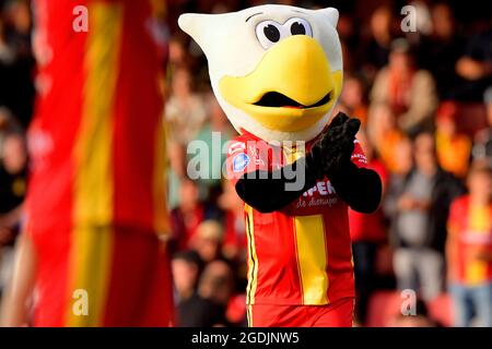 Deventer, pays-Bas. 13 août 2021. DEVENTER, PAYS-BAS - AOÛT 13: mascotte Vas-y Eagles pendant le match néerlandais Eredivisie entre Vas-y Eagles et SC Heerenveen à l'Adelarshorst le 13 août 2021 à Deventer, pays-Bas (photo de Dennis Bresser/Orange Pictures) crédit: Orange pics BV/Alay Live News Banque D'Images