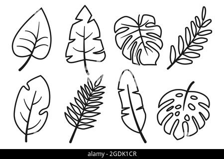Feuilles tropicales abstrait ligne noire contour ensemble isolé sur fond blanc. Monstera de différents types, banane, autres plantes de la jungle. Collection pour le design. Éléments de décoration. Illustration vectorielle Illustration de Vecteur