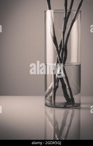 Plan vertical en niveaux de gris d'un pot d'eau en verre avec des bâtons de bambou sur une table réfléchissante Banque D'Images