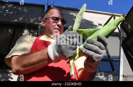 Kenosha, Wisconsin, États-Unis. 13 août 2021. TOM RICHER baise du maïs sur la rafle pour rôtir comme le temps favorable a attiré la foule à la nuit d'ouverture du festival annuel de la paroisse Saint Rosaire de trois jours à notre Dame du Saint Rosaire de Pompéi à Kenosha, Wisconsin vendredi 13 août 2021. (Credit image: © Mark Hertzberg/ZUMA Press Wire) Credit: ZUMA Press, Inc./Alay Live News Banque D'Images