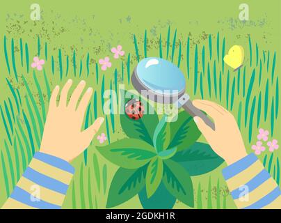 L'enfant examine une coccinelle à travers une loupe dans l'herbe verte. Vue de la première personne. Illustration conceptuelle avec espace de copie Illustration de Vecteur