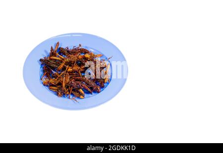 Sauterelles frites empilées dans une assiette. Masque. Banque D'Images