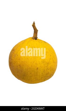 Sauce au santol mûre, au goût doux et aigre. Sur fond blanc. Masque. Banque D'Images