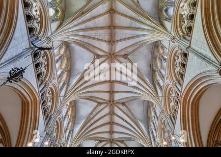 Fin du début de l'anglais (13ème siècle) style architectural du plafond dans la nef à la cathédrale médiévale de Lincoln, Angleterre. Banque D'Images